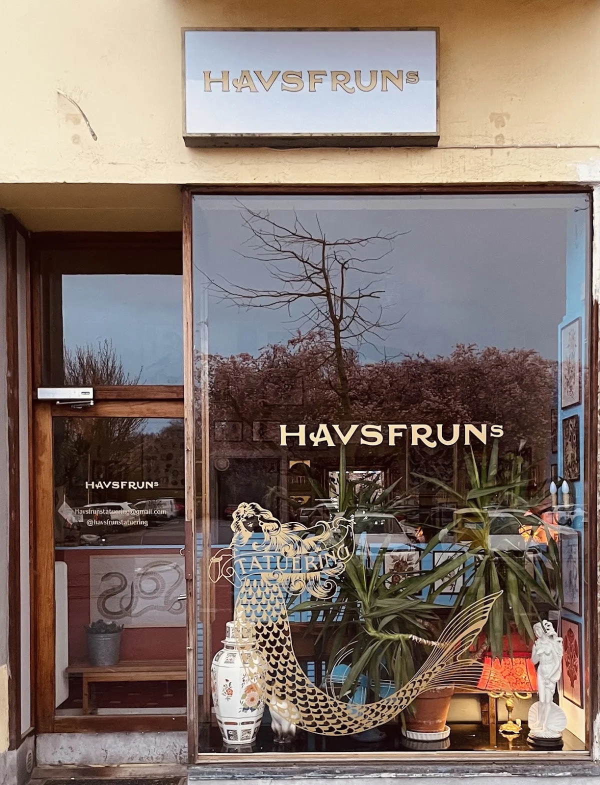 HAVSFRUNs